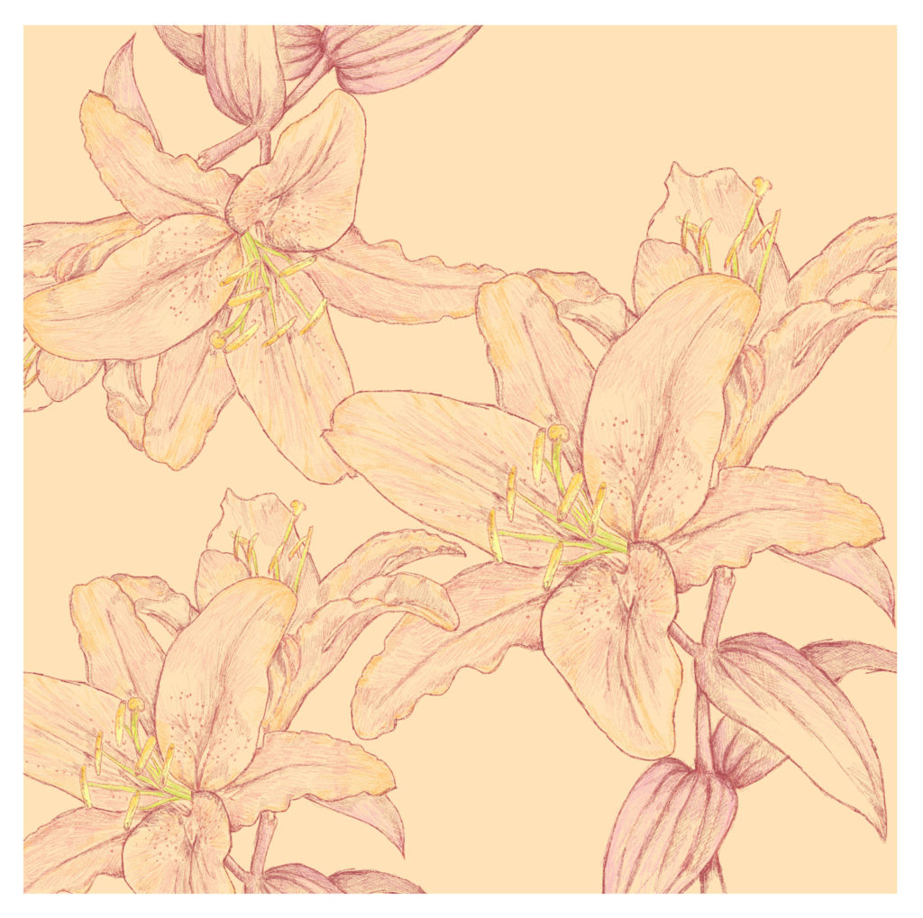 Lily flowers pattern